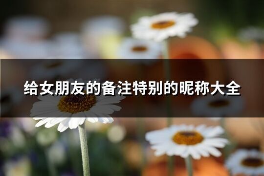 給女朋友的備注特別的昵稱大全(精選89個)