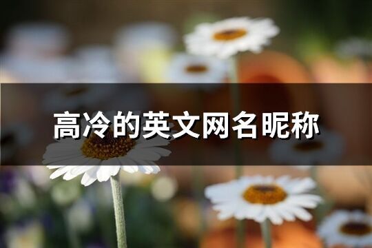 高冷的英文網名昵稱(優選133個)