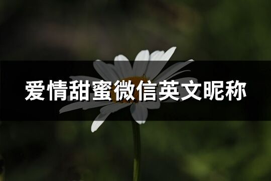 愛情甜蜜微信英文昵稱(優選173個)