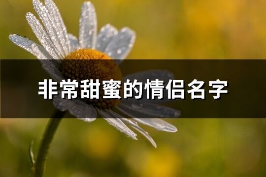 非常甜蜜的情侶名字(225個(gè))