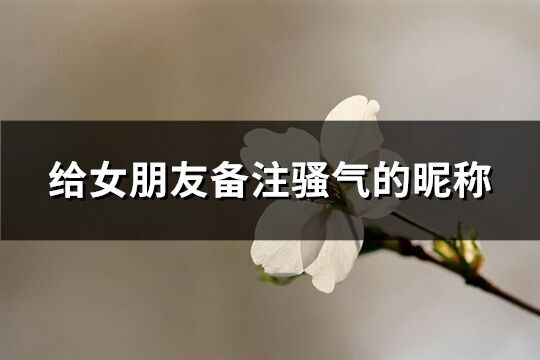 給女朋友備注騷氣的昵稱(161個)