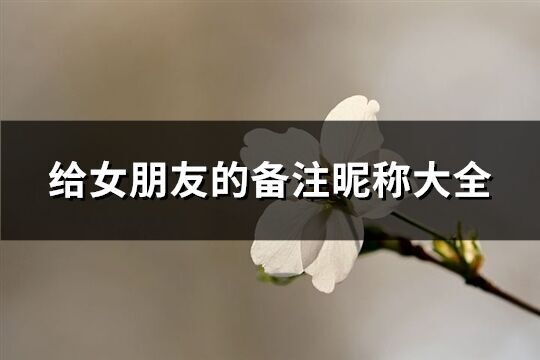 給女朋友的備注昵稱大全(精選112個)