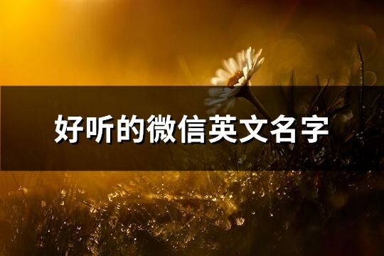 好聽的微信英文名字(共79個)