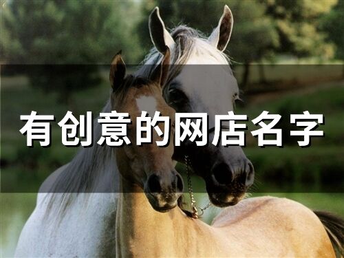 有創意的網店名字(65個)