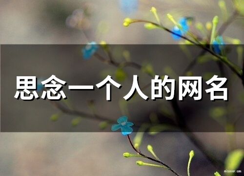 思念一個人的網名(59個)