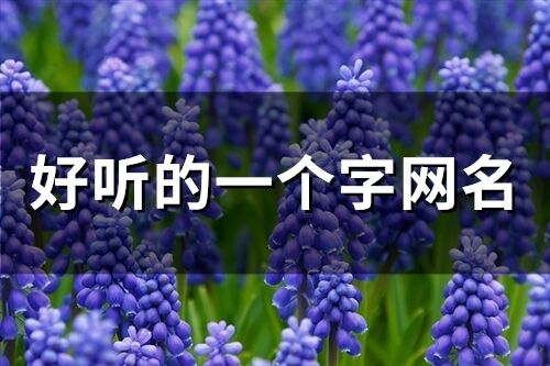 好聽的一個字網名(74個)