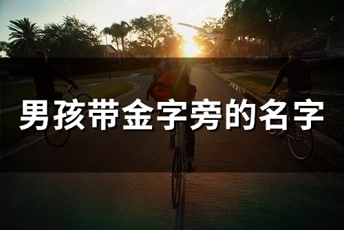 男孩帶金字旁的名字(61個(gè))