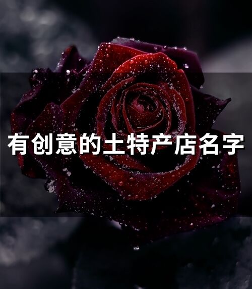 有創意的土特產店名字(70個)
