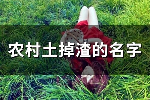 農(nóng)村土掉渣的名字(78個)