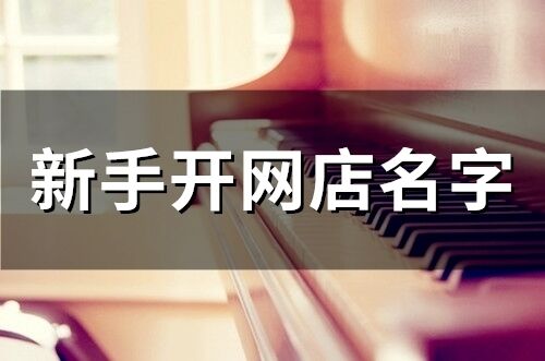 新手開網店名字(65個)