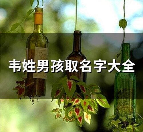 韋姓男孩取名字大全(精選97個)