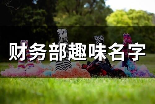 財務部趣味名字(精選60個)