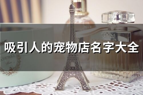 吸引人的寵物店名字大全(精選78個)