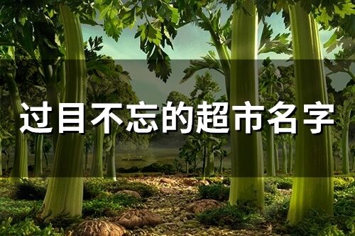 過目不忘的超市名字(精選61個)