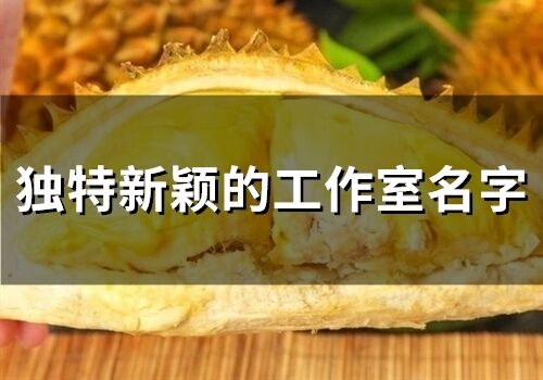 獨特新穎的工作室名字(118個)