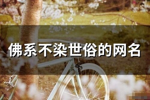 佛系不染世俗的網名(精選68個)