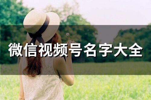 微信視頻號(hào)名字大全(204個(gè))