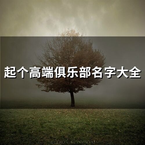 起個高端俱樂部名字大全(精選90個)