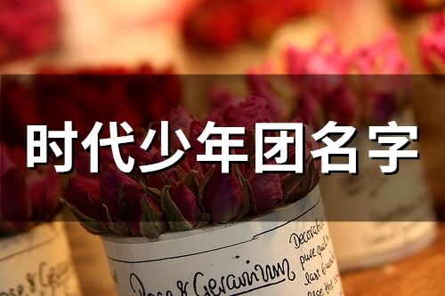時代少年團名字(精選49個)