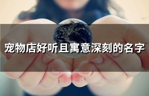 寵物店好聽且寓意深刻的名字(精選55個)