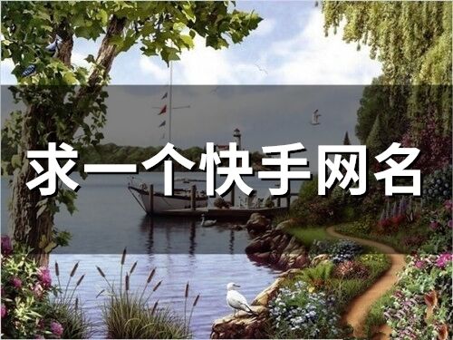 求一個快手網(wǎng)名(441個)