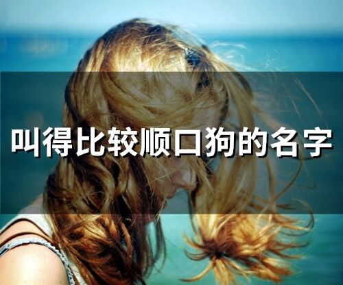 叫得比較順口狗的名字(精選75個)