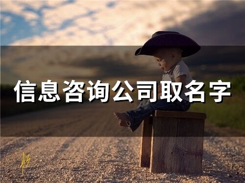 信息咨詢公司取名字(506個(gè))