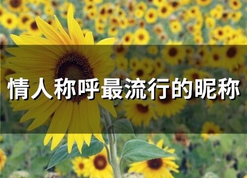 情人稱呼最流行的昵稱(69個)