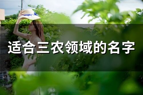 適合三農(nóng)領(lǐng)域的名字(精選121個(gè))