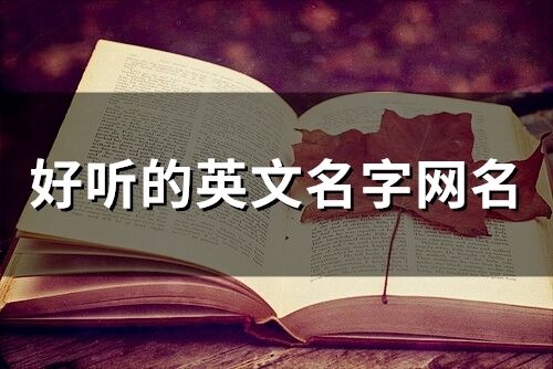 好聽的英文名字網名(188個)