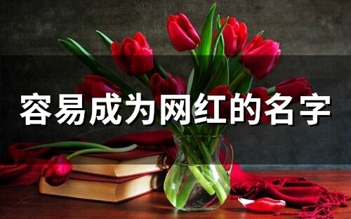 容易成為網(wǎng)紅的名字(精選109個)