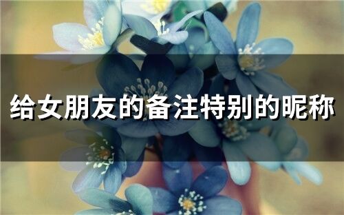 給女朋友的備注特別的昵稱(精選111個)
