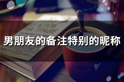 男朋友的備注特別的昵稱(199個)