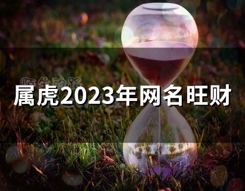 屬虎2023年網名旺財(110個)