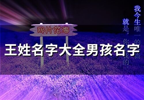 王姓名字大全男孩名字 王姓有涵養的名字