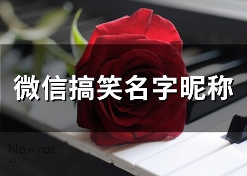 微信搞笑名字昵稱