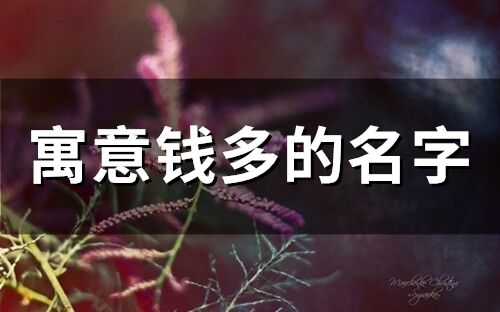 寓意錢多的名字 寓意吸金的名字
