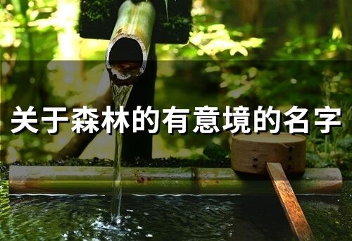 關(guān)于森林的有意境的名字