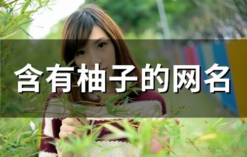 含有柚子的網(wǎng)名