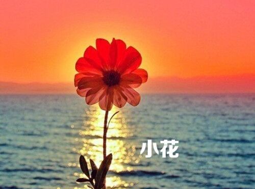 神的信微個性網名個性網名大全(205個)