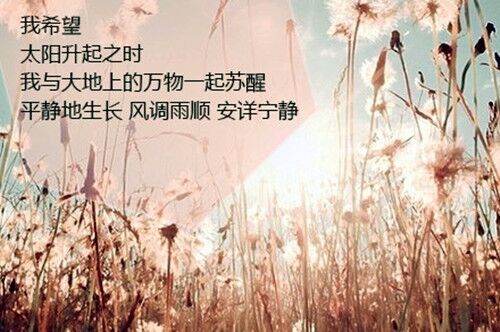 適合給女朋友的昵稱大全(共95個)