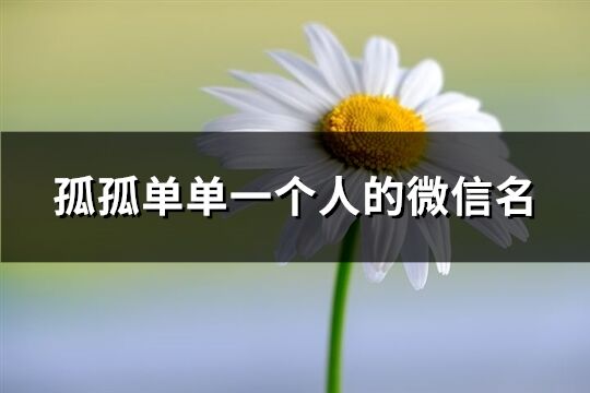 孤孤單單一個人的微信名(共68個)