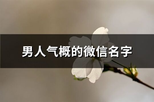 男人氣概的微信名字(精選827個(gè))