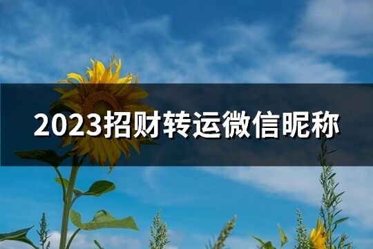 2023招財轉運微信昵稱(優選714個)