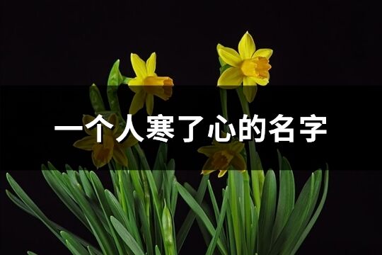 一個人寒了心的名字(共420個)