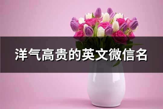 洋氣高貴的英文微信名(80個)