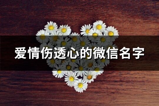 愛情傷透心的微信名字(共276個)