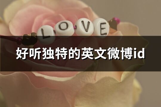 好聽獨特的英文微博id(優選70個)