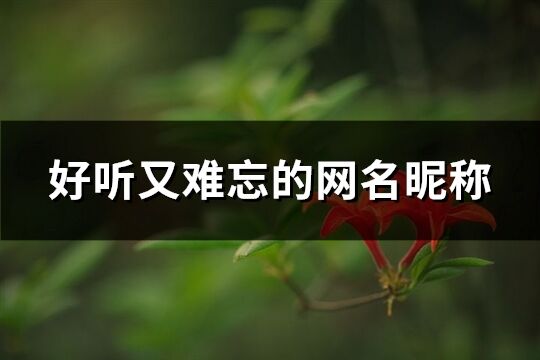 好聽又難忘的網名昵稱(745個)