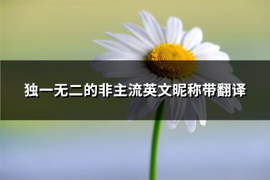 獨一無二的非主流英文昵稱帶翻譯(精選100個)